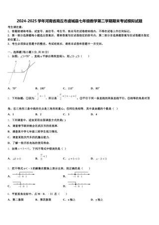 2024-2025学年河南省商丘市虞城县七年级数学第二学期期末考试模拟试题含解析