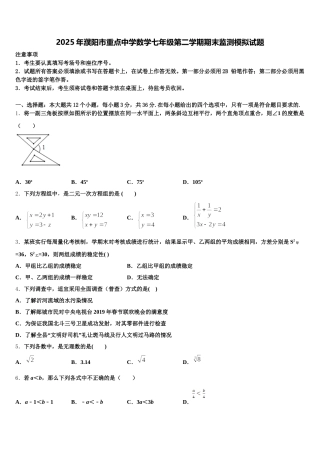 2025年濮阳市重点中学数学七年级第二学期期末监测模拟试题含解析