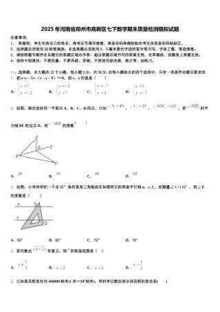 2025年河南省郑州市高新区七下数学期末质量检测模拟试题含解析
