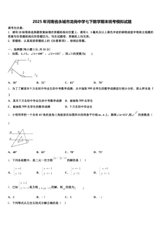 2025年河南省永城市龙岗中学七下数学期末统考模拟试题含解析