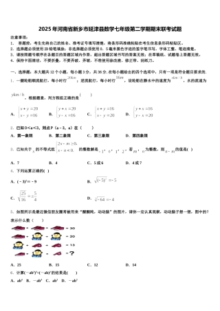 2025年河南省新乡市延津县数学七年级第二学期期末联考试题含解析