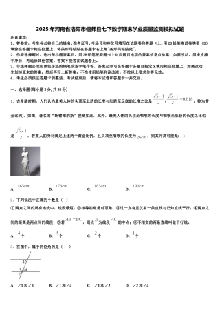 2025年河南省洛阳市偃师县七下数学期末学业质量监测模拟试题含解析