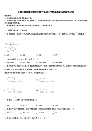 2025届河南省郑州市第三中学七下数学期末达标检测试题含解析