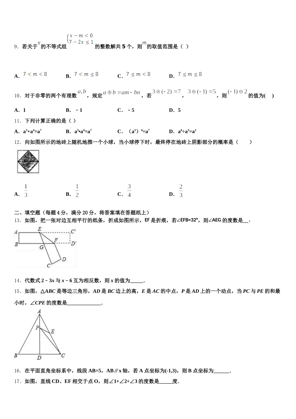 河南省平顶山市第四十二中学2024-2025学年数学七下期末监测模拟试题含解析_第3页