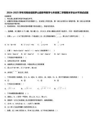 2024-2025学年河南省信阳罗山县联考数学七年级第二学期期末学业水平测试试题含解析