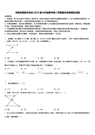 河南省鹤壁市名校2025届七年级数学第二学期期末经典模拟试题含解析