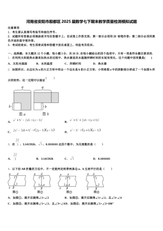 河南省安阳市殷都区2025届数学七下期末教学质量检测模拟试题含解析