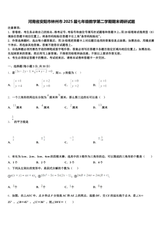 河南省安阳市林州市2025届七年级数学第二学期期末调研试题含解析