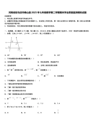 河南省驻马店市确山县2025年七年级数学第二学期期末学业质量监测模拟试题含解析