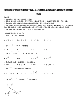 河南省郑州市郑东新区实验学校2024-2025学年七年级数学第二学期期末质量跟踪监视试题含解析