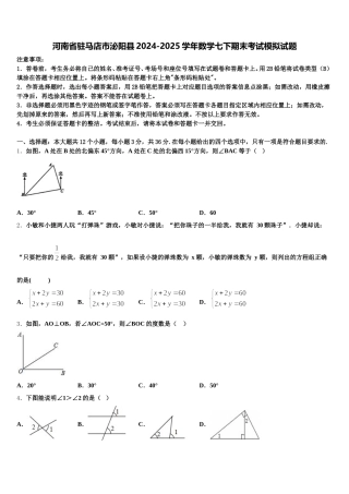 河南省驻马店市泌阳县2024-2025学年数学七下期末考试模拟试题含解析