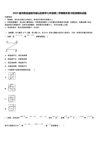 2025届河南省益阳市赫山区数学七年级第二学期期末复习检测模拟试题含解析
