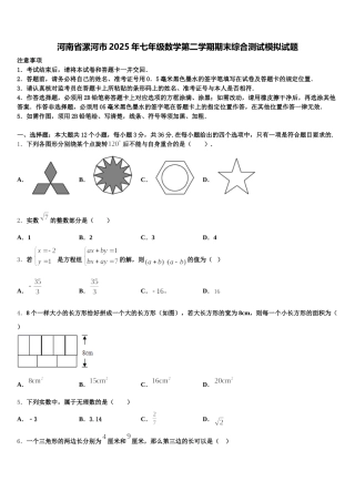 河南省漯河市2025年七年级数学第二学期期末综合测试模拟试题含解析