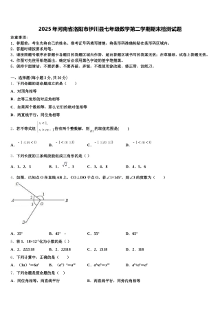 2025年河南省洛阳市伊川县七年级数学第二学期期末检测试题含解析