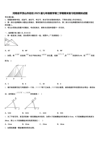 河南省平顶山市名校2025届七年级数学第二学期期末复习检测模拟试题含解析