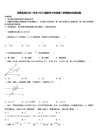 河南省周口市一中学2025届数学七年级第二学期期末经典试题含解析