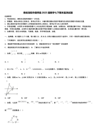 南省洛阳市偃师县2025届数学七下期末监测试题含解析