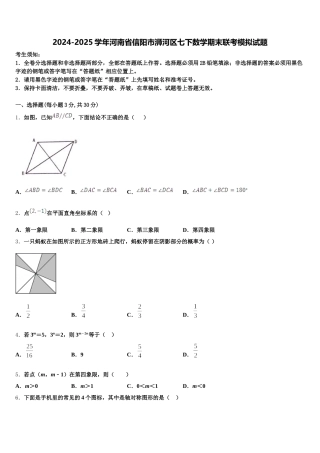 2024-2025学年河南省信阳市浉河区七下数学期末联考模拟试题含解析