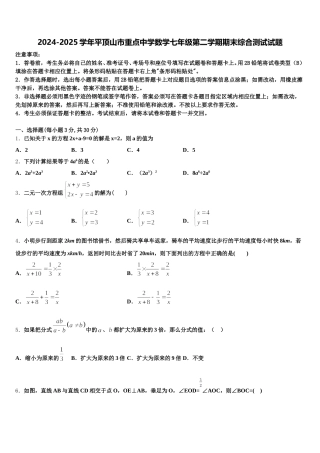 2024-2025学年平顶山市重点中学数学七年级第二学期期末综合测试试题含解析