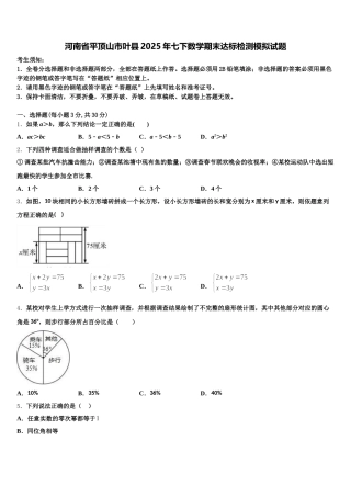 河南省平顶山市叶县2025年七下数学期末达标检测模拟试题含解析
