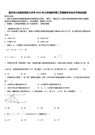 重庆市九龙坡区西彭三中学2025年七年级数学第二学期期末学业水平测试试题含解析