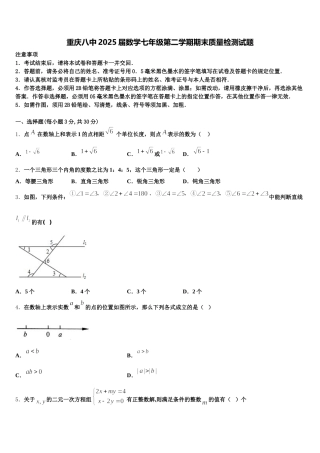 重庆八中2025届数学七年级第二学期期末质量检测试题含解析