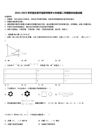 2024-2025学年重庆梁平县联考数学七年级第二学期期末经典试题含解析