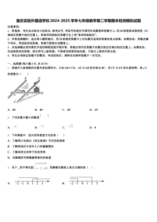 重庆实验外国语学校2024-2025学年七年级数学第二学期期末检测模拟试题含解析