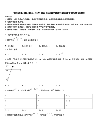 重庆市巫山县2024-2025学年七年级数学第二学期期末达标检测试题含解析