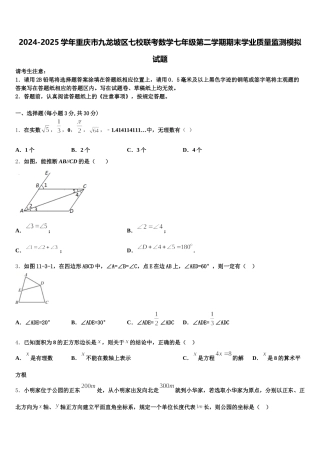 2024-2025学年重庆市九龙坡区七校联考数学七年级第二学期期末学业质量监测模拟试题含解析