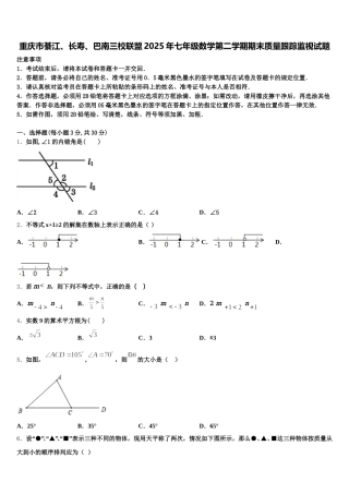 重庆市綦江、长寿、巴南三校联盟2025年七年级数学第二学期期末质量跟踪监视试题含解析