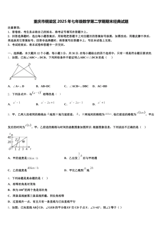 重庆市铜梁区2025年七年级数学第二学期期末经典试题含解析