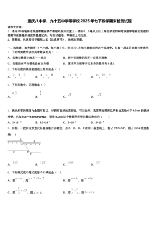 重庆八中学、九十五中学等学校2025年七下数学期末检测试题含解析