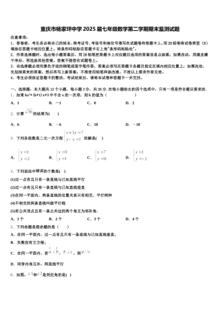 重庆市杨家坪中学2025届七年级数学第二学期期末监测试题含解析