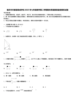重庆市丰都县琢成学校2025年七年级数学第二学期期末质量跟踪监视模拟试题含解析