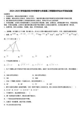 2024-2025学年重庆育才中学数学七年级第二学期期末学业水平测试试题含解析
