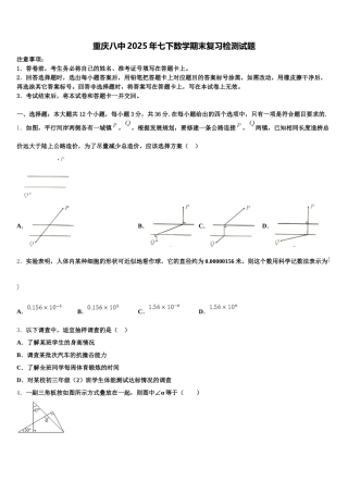 重庆八中2025年七下数学期末复习检测试题含解析