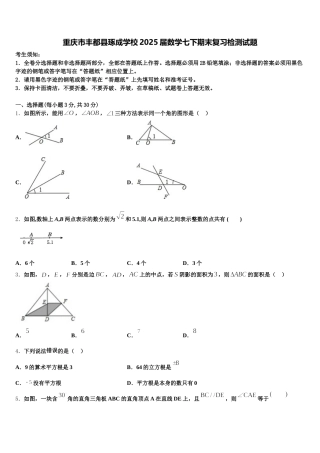 重庆市丰都县琢成学校2025届数学七下期末复习检测试题含解析