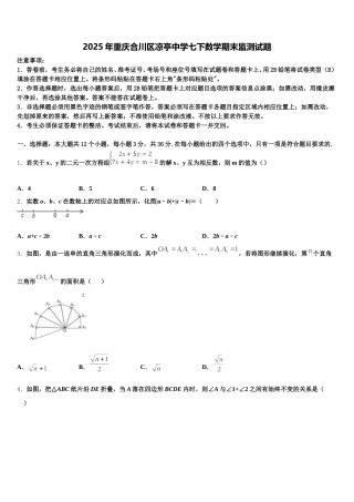 2025年重庆合川区凉亭中学七下数学期末监测试题含解析