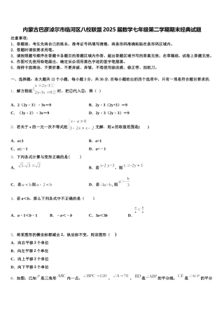 内蒙古巴彦淖尔市临河区八校联盟2025届数学七年级第二学期期末经典试题含解析