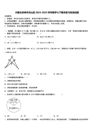 内蒙古赤峰市洪山区2024-2025学年数学七下期末复习检测试题含解析