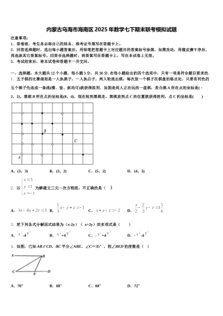 内蒙古乌海市海南区2025年数学七下期末联考模拟试题含解析