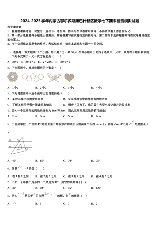 2024-2025学年内蒙古鄂尔多斯康巴什新区数学七下期末检测模拟试题含解析