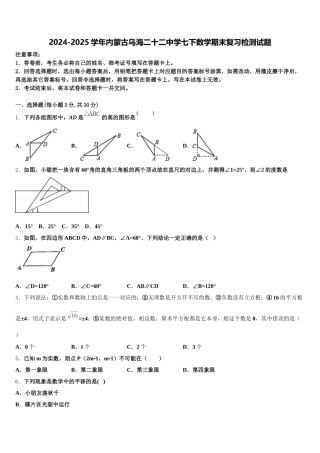 2024-2025学年内蒙古乌海二十二中学七下数学期末复习检测试题含解析
