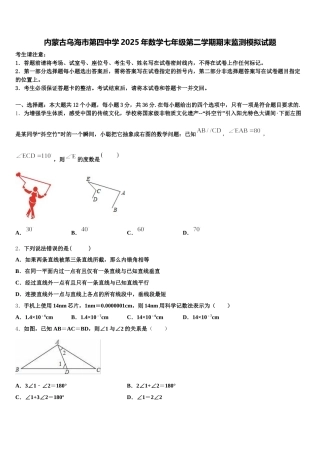 内蒙古乌海市第四中学2025年数学七年级第二学期期末监测模拟试题含解析