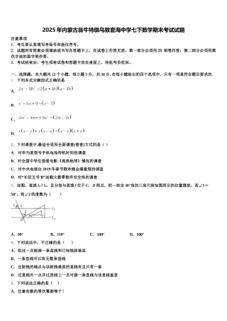 2025年内蒙古翁牛特旗乌敦套海中学七下数学期末考试试题含解析
