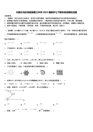 内蒙古乌拉特前旗第三中学2025届数学七下期末检测模拟试题含解析