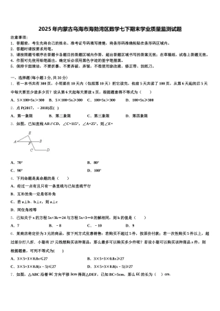 2025年内蒙古乌海市海勃湾区数学七下期末学业质量监测试题含解析