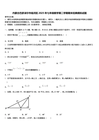 内蒙古巴彦淖尔市临河区2025年七年级数学第二学期期末经典模拟试题含解析