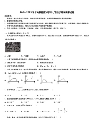 2024-2025学年内蒙巴彦淖尔市七下数学期末统考试题含解析